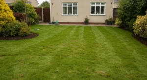 Achieve a Healthier, Greener Outdoor Space with All Seasons Landscaping and Lawn Care in Central, LA